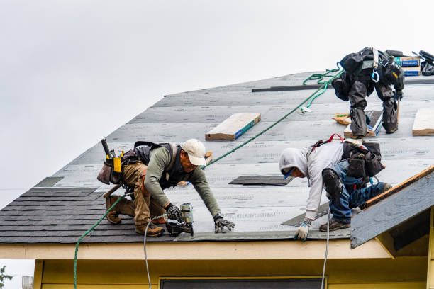 Professional Gutter Installation technician working in Lexington, VA